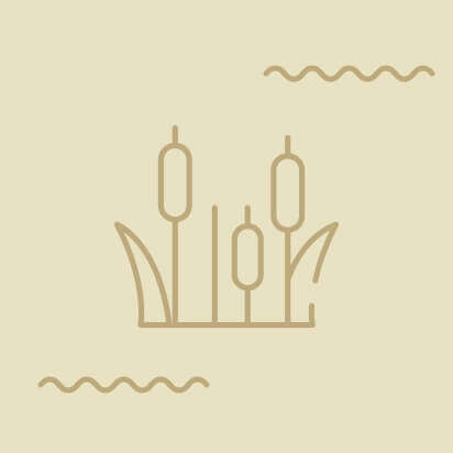 Minimalistische Darstellung von Schilfrohren und Wellen in einem sanften Farbschema.